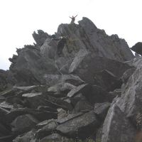 Cyfrwy Arête, The Top (James Richardson)