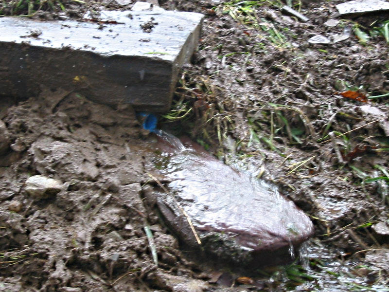 Picture Home Page
