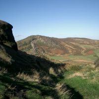 Scenery (Peter Walker)