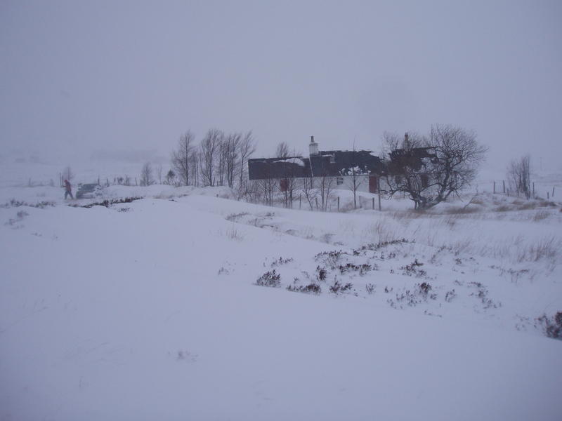 Picture Home Page