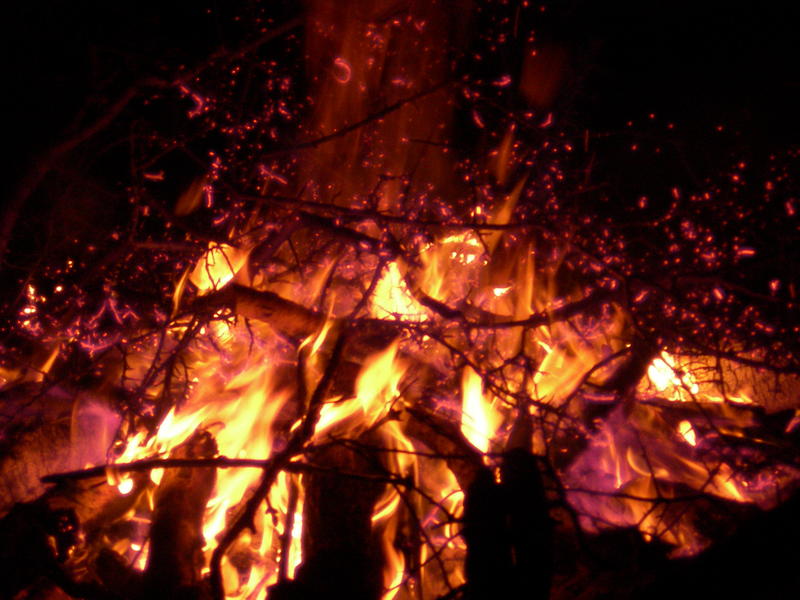 Picture Home Page