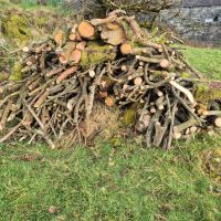 Wood stack (Andy Stratford)