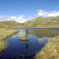 Tarn at Leaves (Dave Wylie)